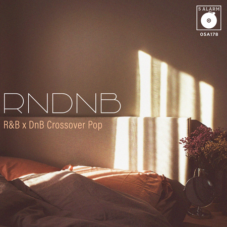 RNDNB - R&B x DnB Crossover Pop 표지