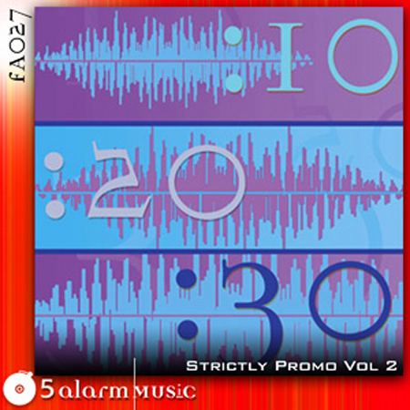 strictly promo vol. 2 표지