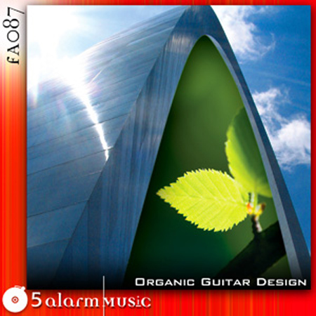 organic guitar design 표지