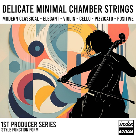 Delicate Minimal Chamber Strings 표지