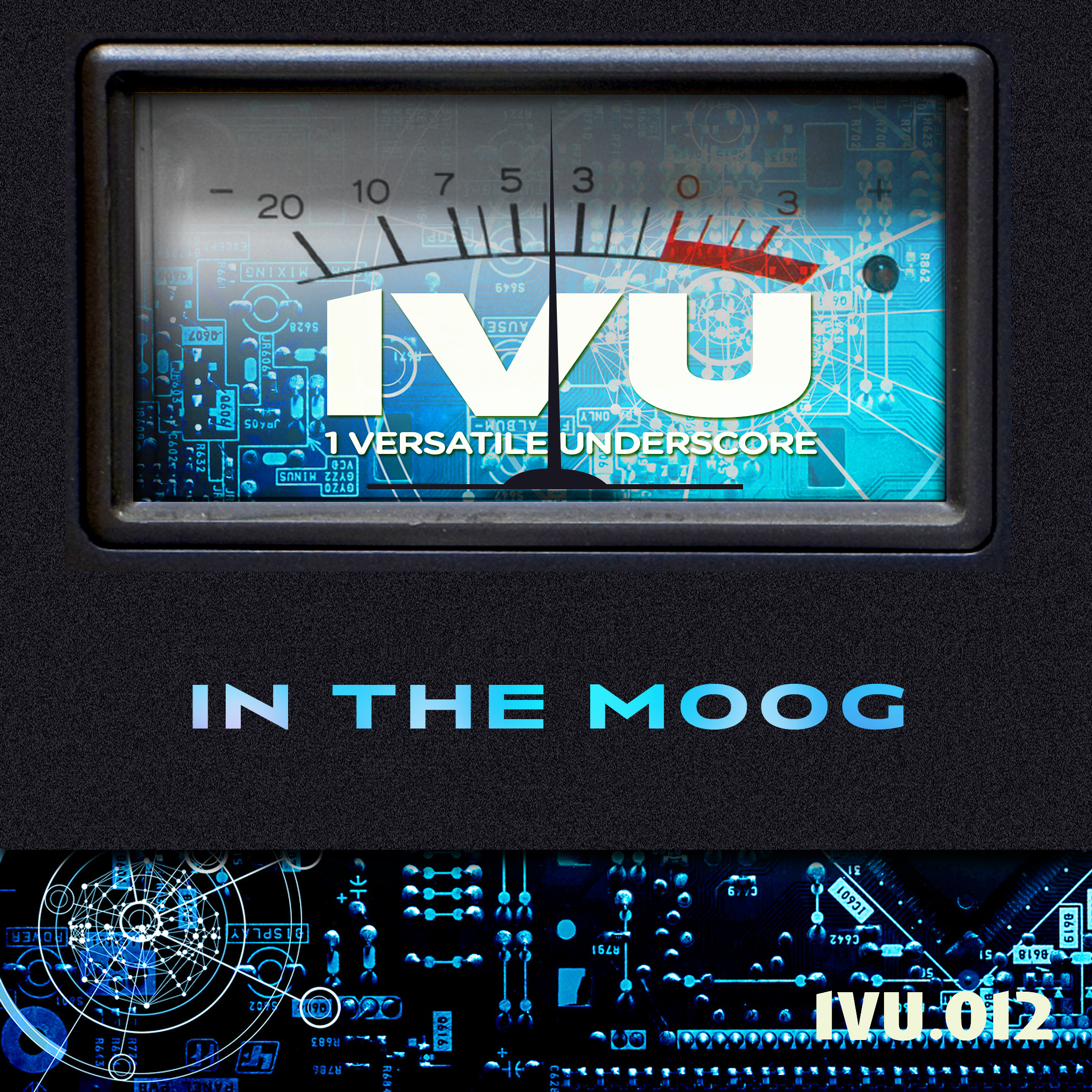 in the moog 표지