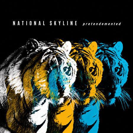 National Skyline / pretendemented 표지