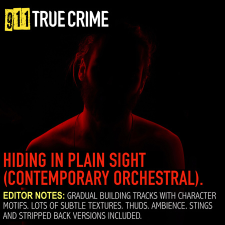 911TC020. Hiding In Plain Sight (Contemporary Orchestral) 표지