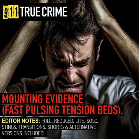 911TC027. Mounting Evidence (Fast Pulsing Tension Beds) 표지