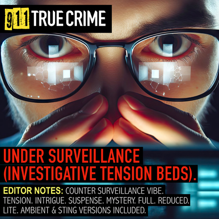 911TC028. Under Surveillance (Investigative Tension Beds) 표지