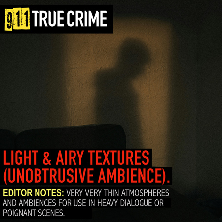 911TC029. Light & Airy Textures (Unobtrusive Ambience) 표지