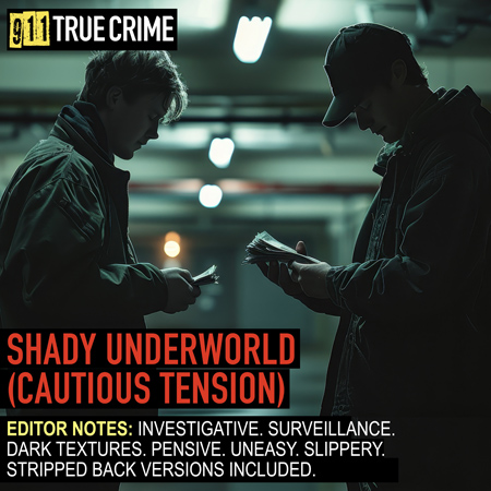 Shady Underworld (Cautious Tension) 표지