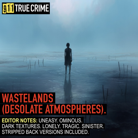 Wastelands (Desolate Atmospheres) 표지