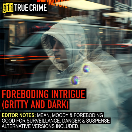 911TC097. Foreboding Intrigue (Dark & Gritty) 표지