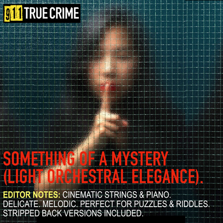 911TC102. Something of a Mystery (Light Orchestral Elegance) 표지