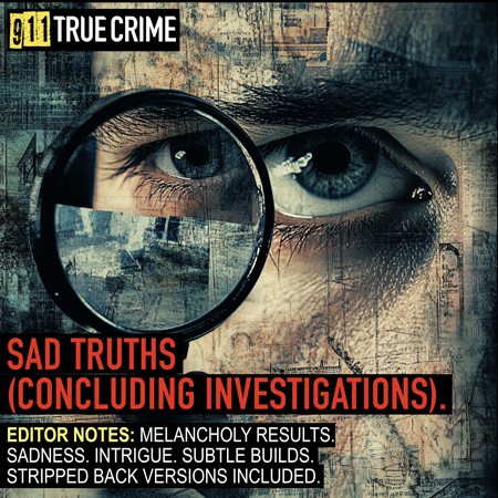 911TC108. Sad Truths (Concluding Investigations) 표지