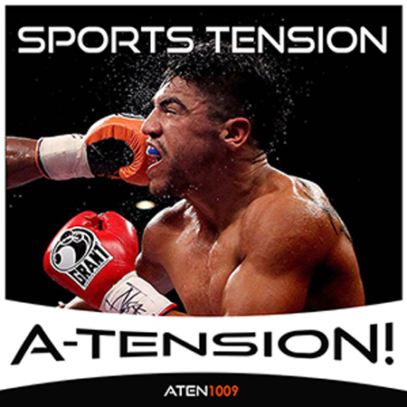 Sports Tension 표지