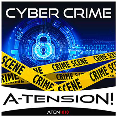 Cyber Crime 표지