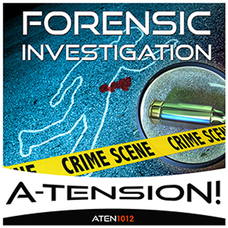 Forensic Investigation 표지