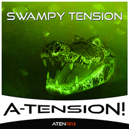 Swampy Tension 표지