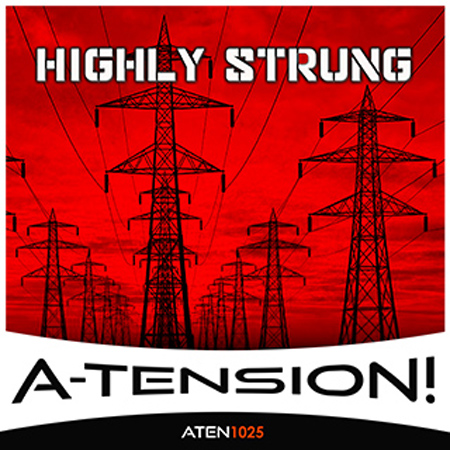 Highly Strung 표지