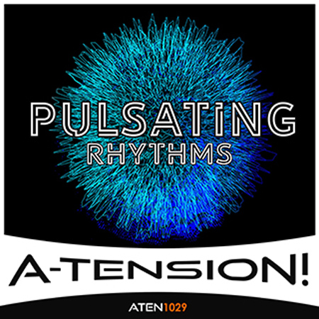 Pulsating Rhythms 표지