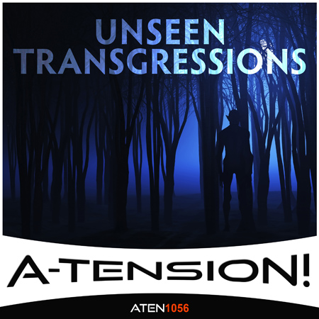 Unseen Transgressions 표지