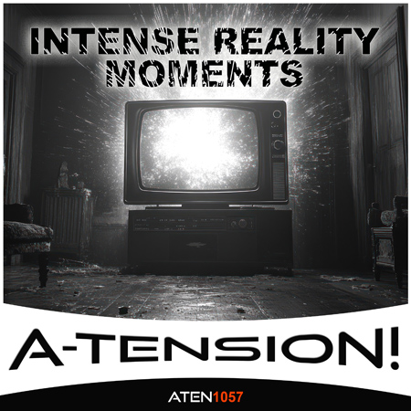 Intense Reality Moments 표지