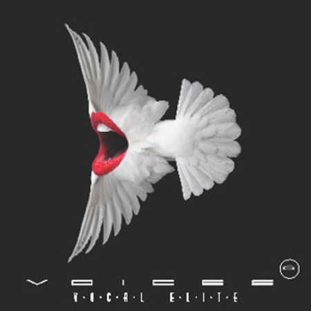 Voices 6 Vocal Elite 표지