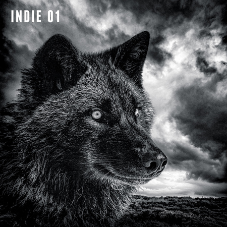 Indie 01 표지