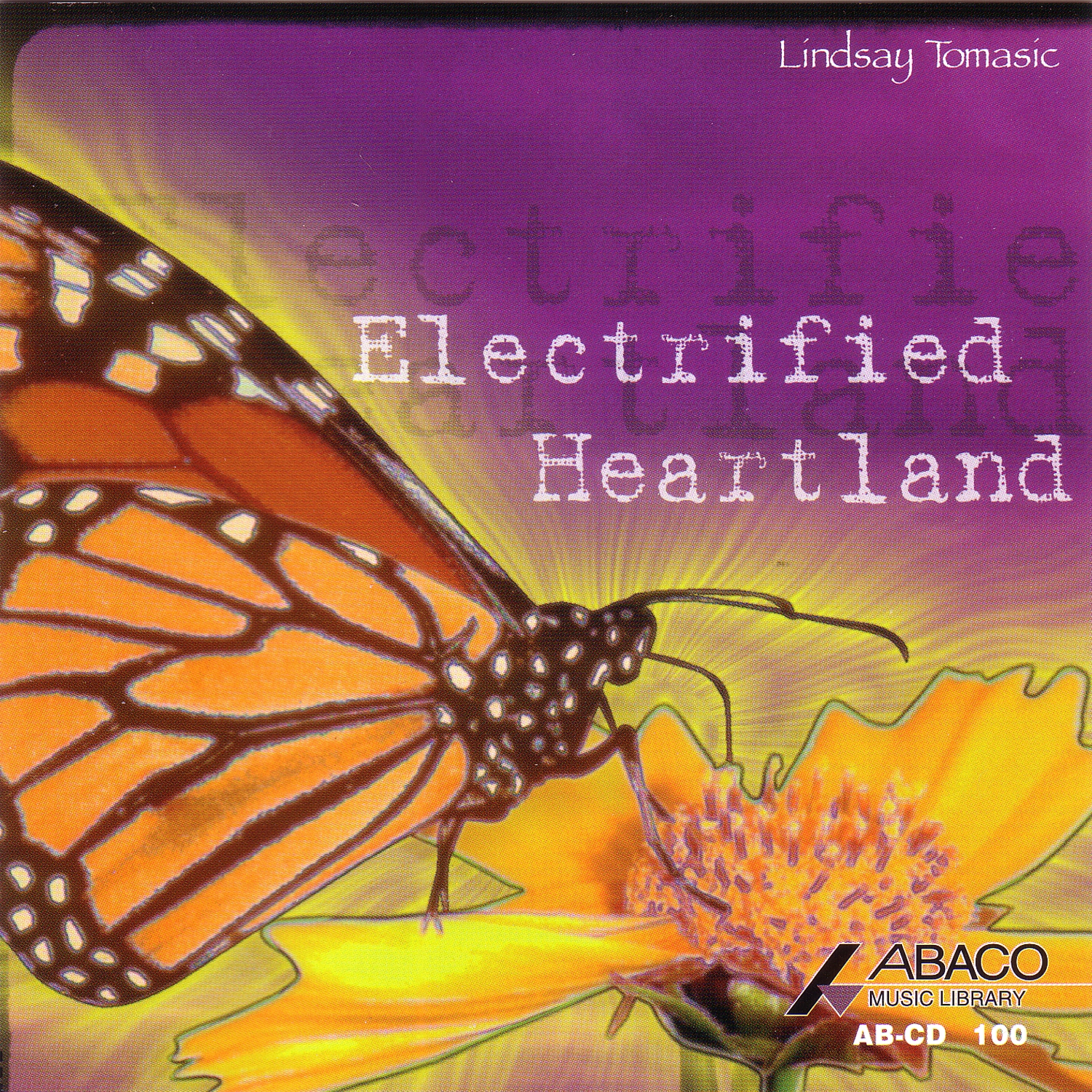 electrified heartland 표지