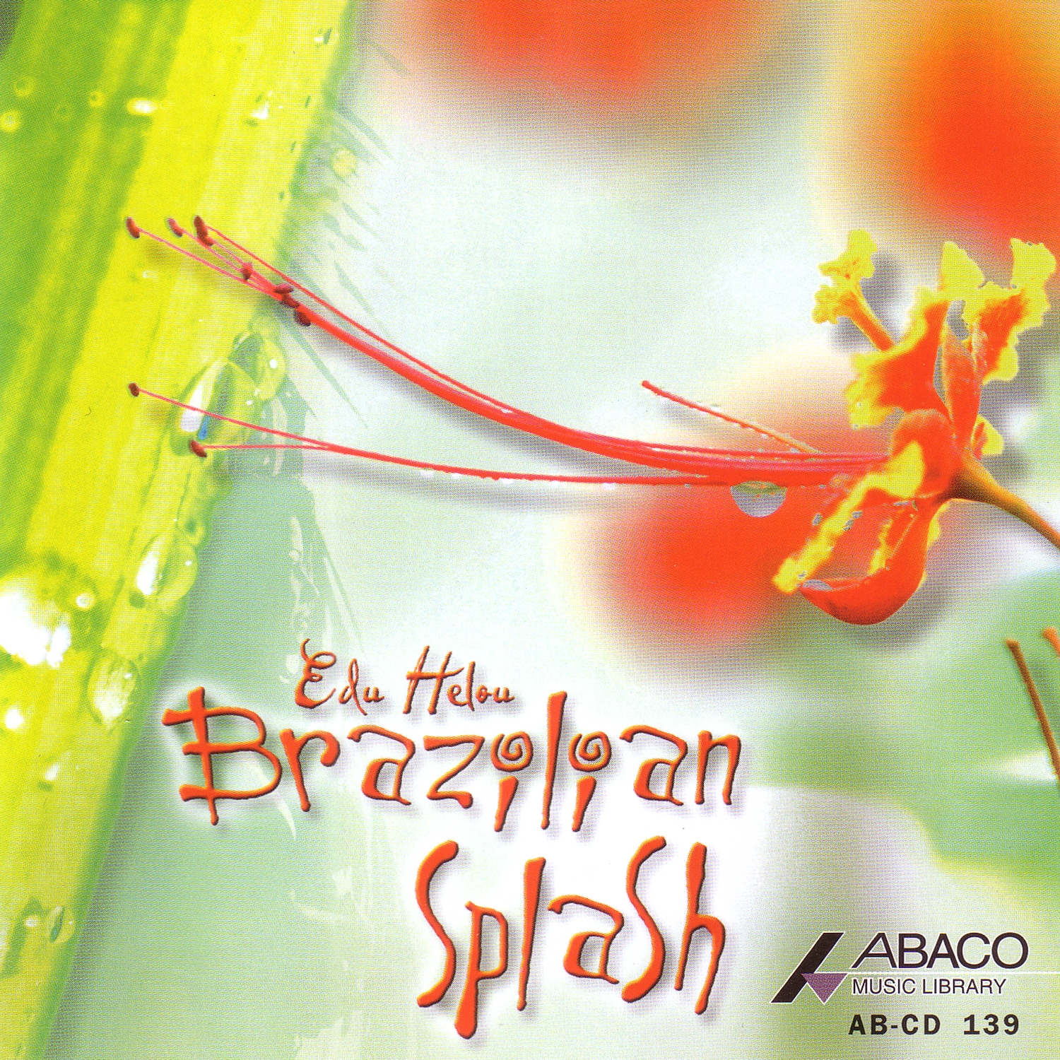 brazilian splash 표지