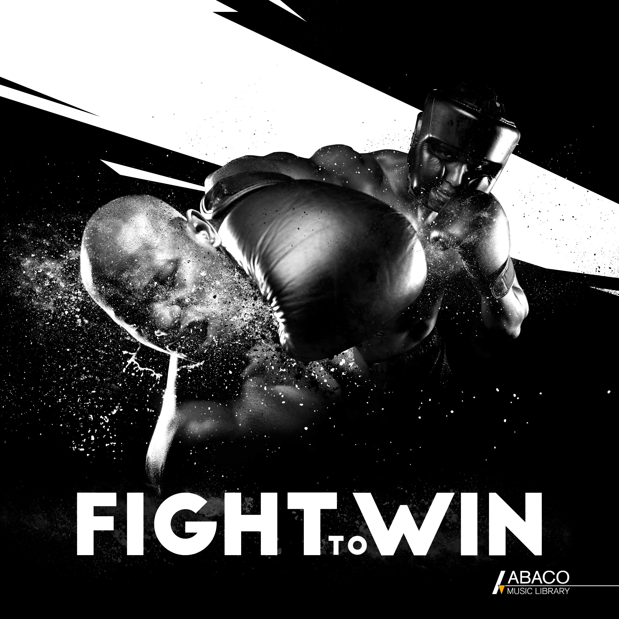 fight to win: aggressive motivation 표지