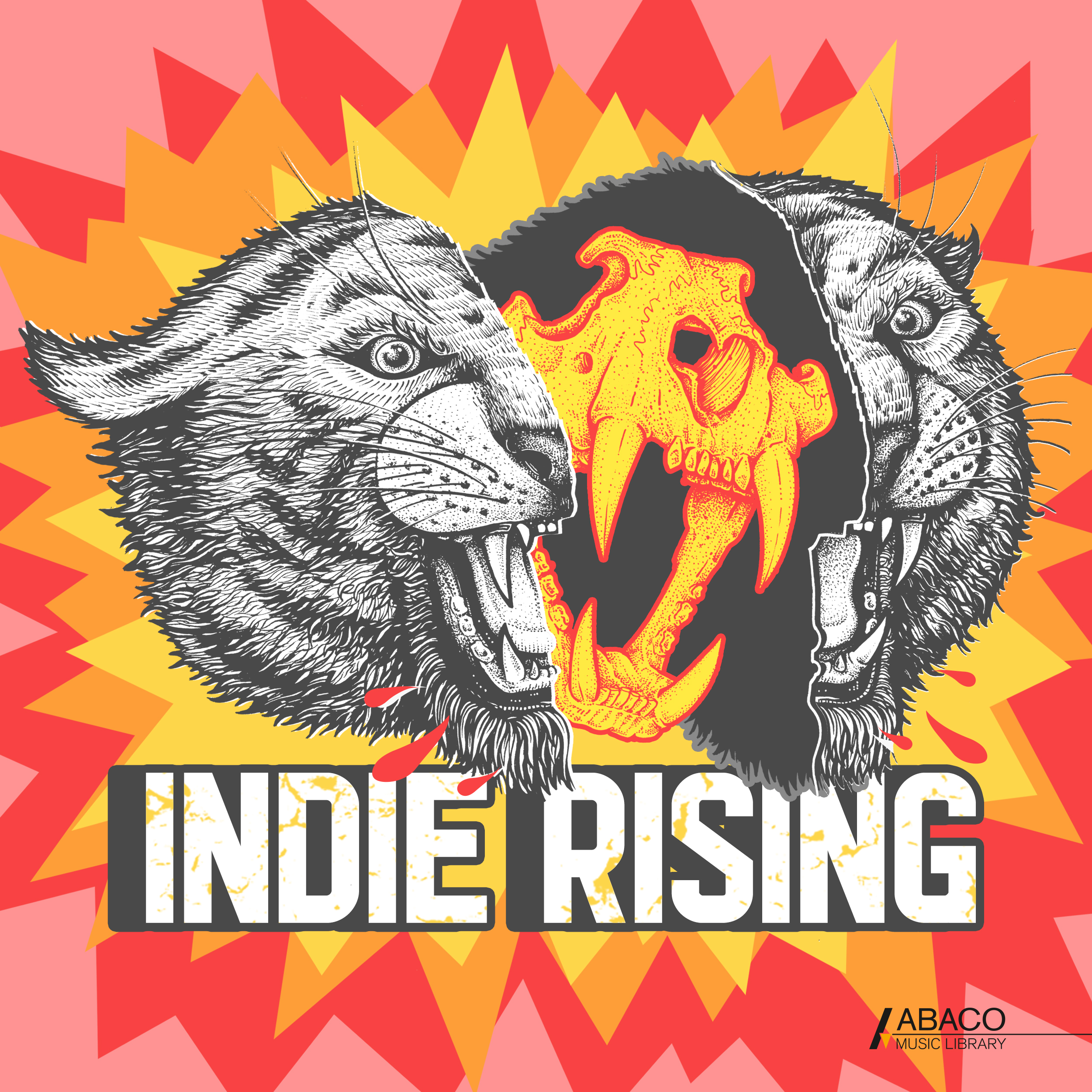 indie rising 표지
