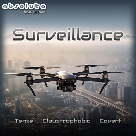 Surveillance 표지