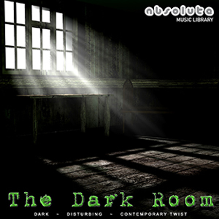 The Dark Room 표지