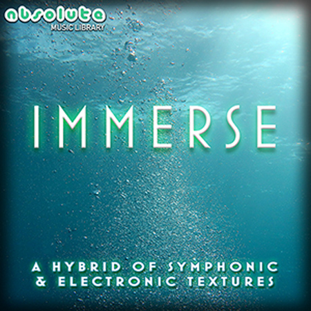 Immerse 표지