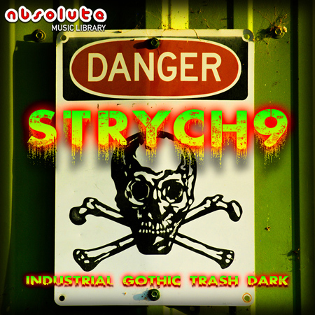 Strych9 표지