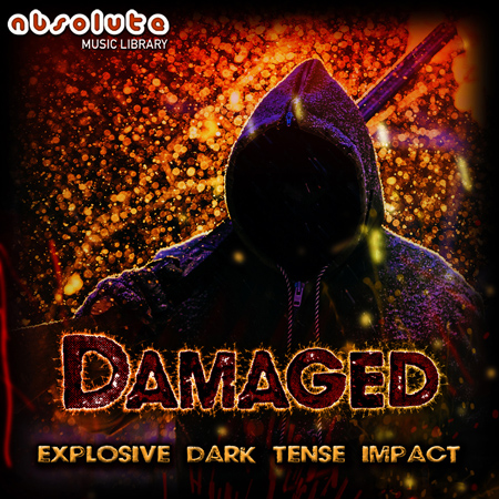 Damaged 표지