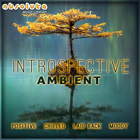 Introspective Ambient 표지