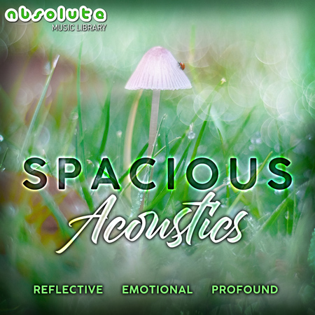 Spacious Acoustics 표지