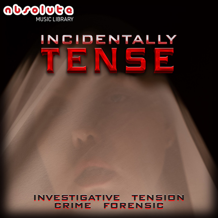 Incidentally Tense 표지