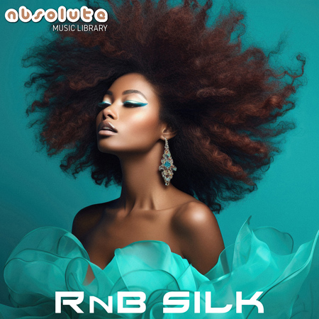 RnB Silk 표지