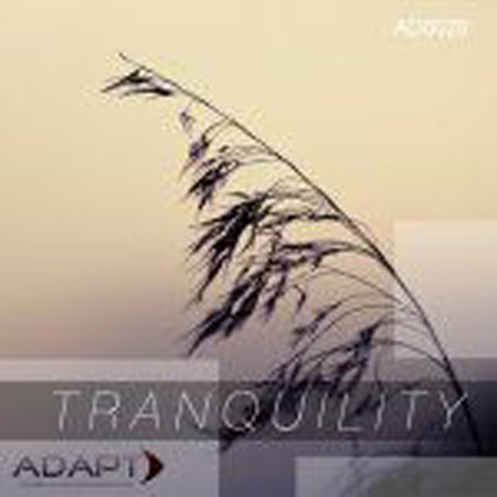 tranquility 표지