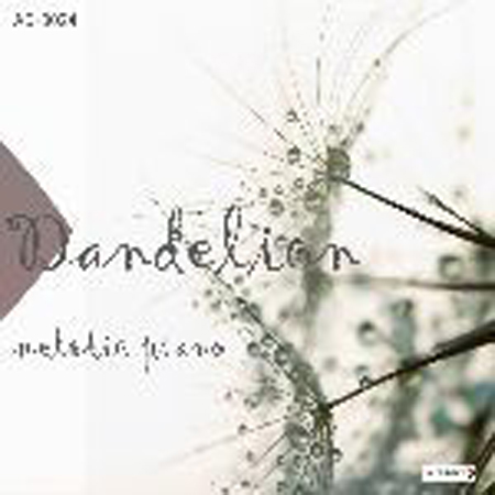 dandelion 표지