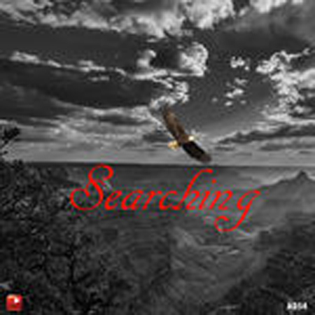SEARCHING 표지