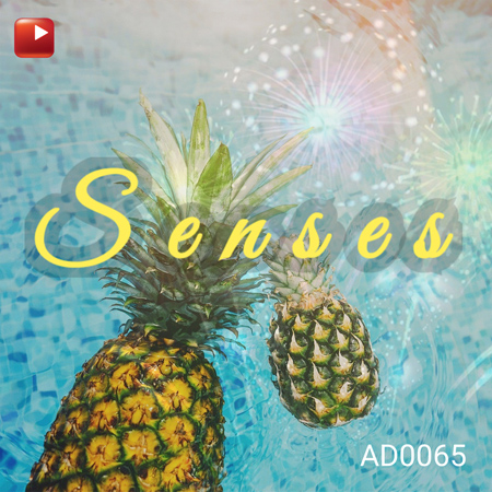 SENSES 표지