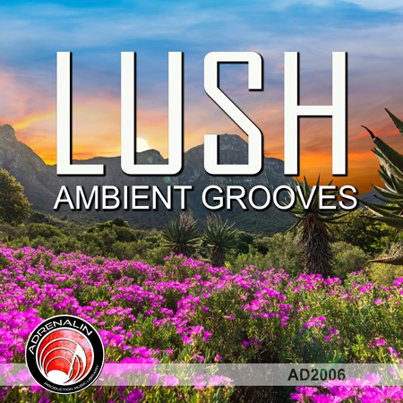 Lush - Ambient Grooves 표지