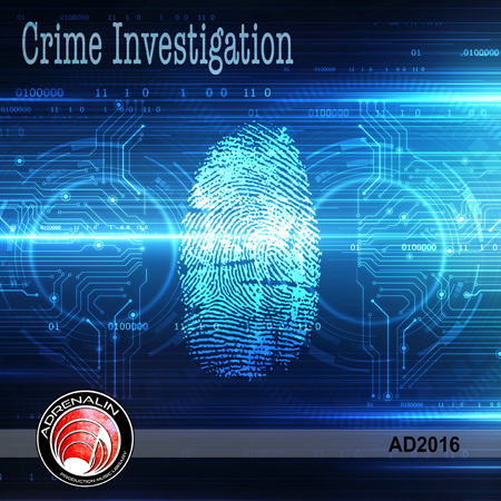 Crime Investigation 표지