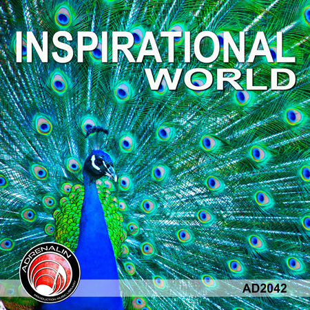 Inspirational World 표지