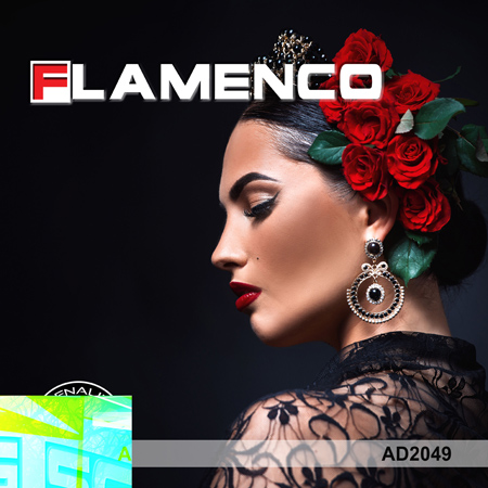 Flamenco 표지