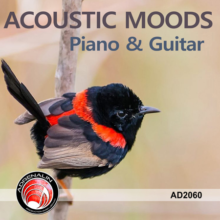 Acoustic Moods - Piano & Guitar 표지