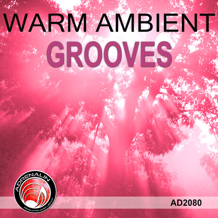 Warm Ambient Grooves 표지