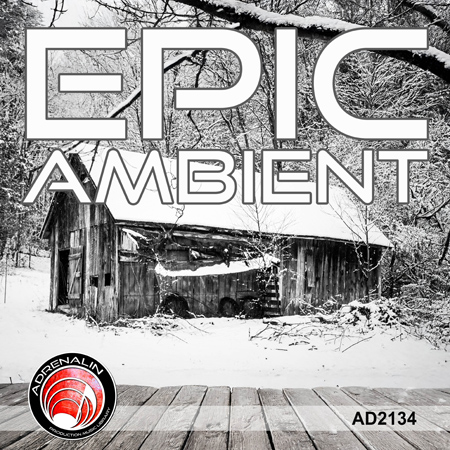 Epic Ambient 표지