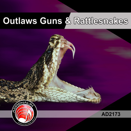 Outlaws Guns & Rattlesnakes 표지